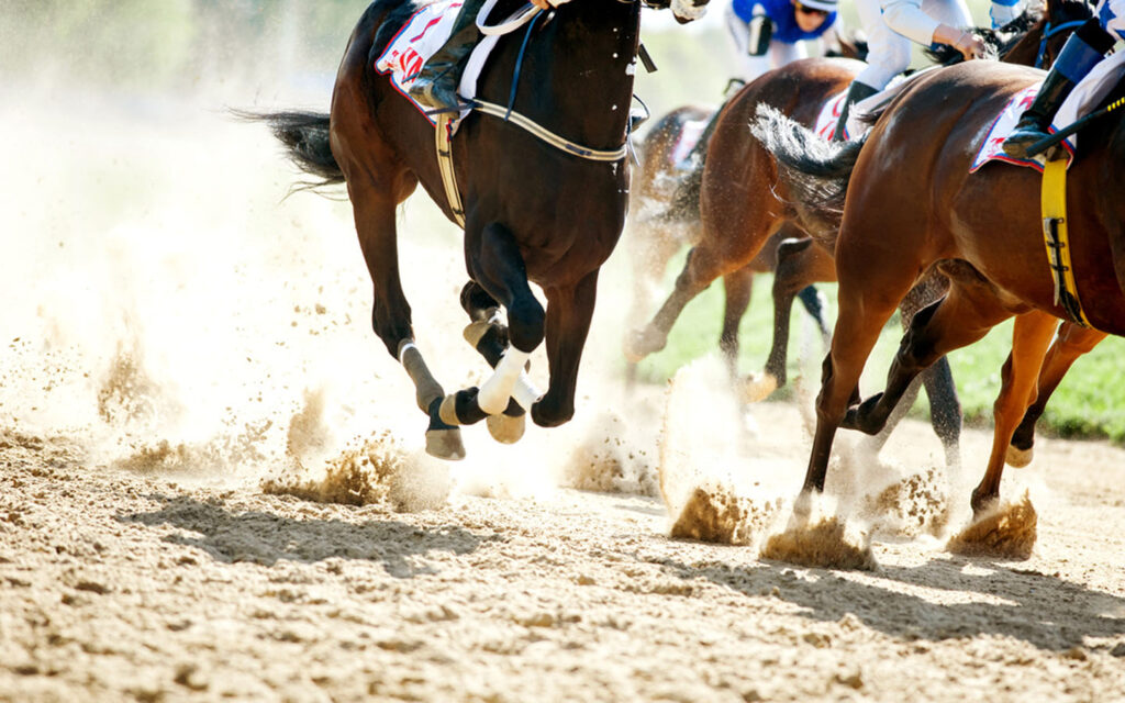 Jebel Ali Racecourse Dubai payment&nbsp;plan