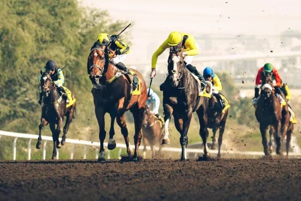 A Day at Jebel Ali Racecourse&nbsp;Dubai